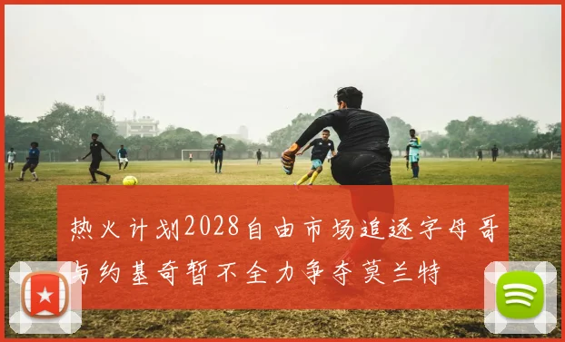 热火计划2028自由市场追逐字母哥与约基奇暂不全力争夺莫兰特